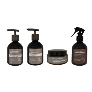 Sistema Regenerativo